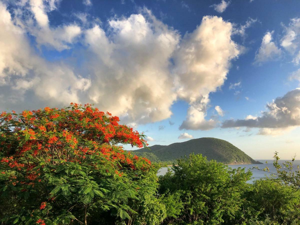 Villa Deshaies Bagian luar foto